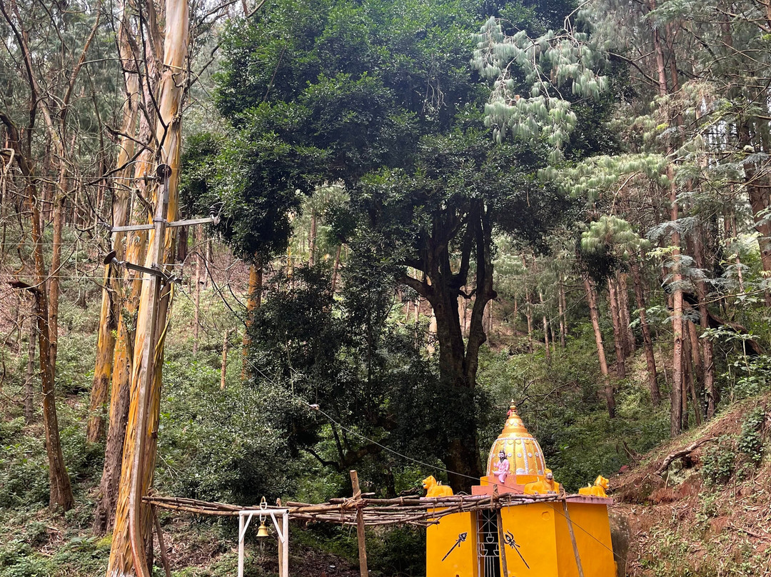 Lynfields Leisure主图