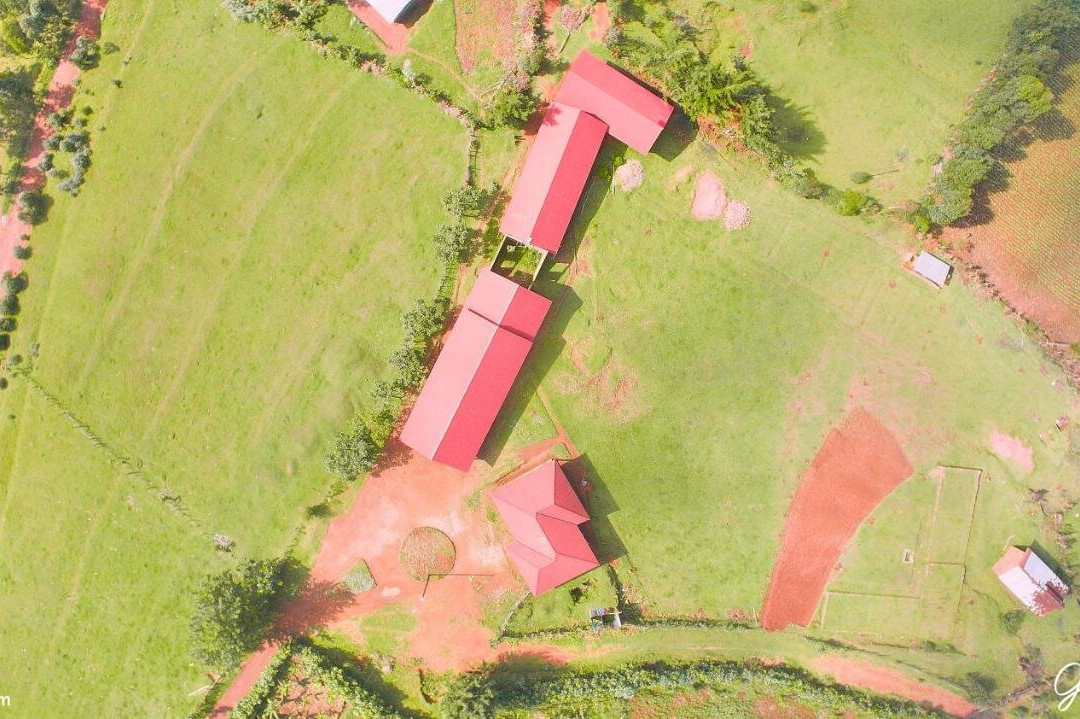 Lake Bunyonyi View Resort主图