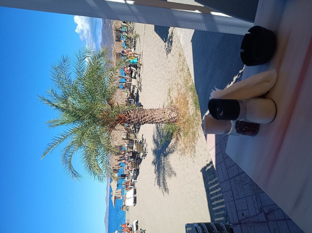 Sitia Beach-Sitia必去景点