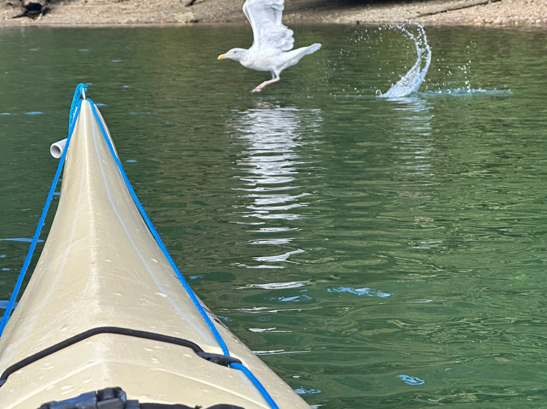 Pacifica Paddle Sports-Brentwood Bay必去景点