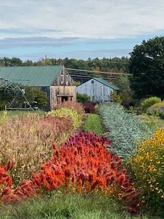 Broadturn Farm-斯卡伯勒必去景点