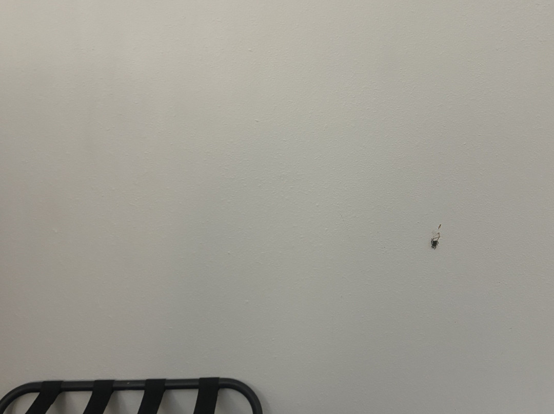 阿什兰德戴斯酒店主图