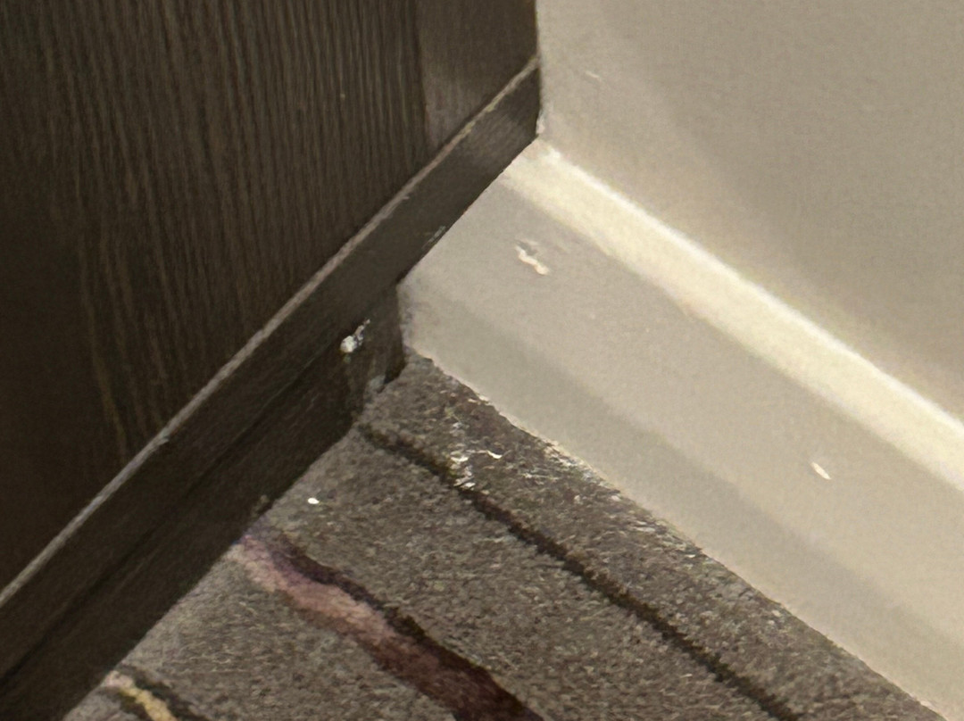 Premier Inn St Andrews hotel主图