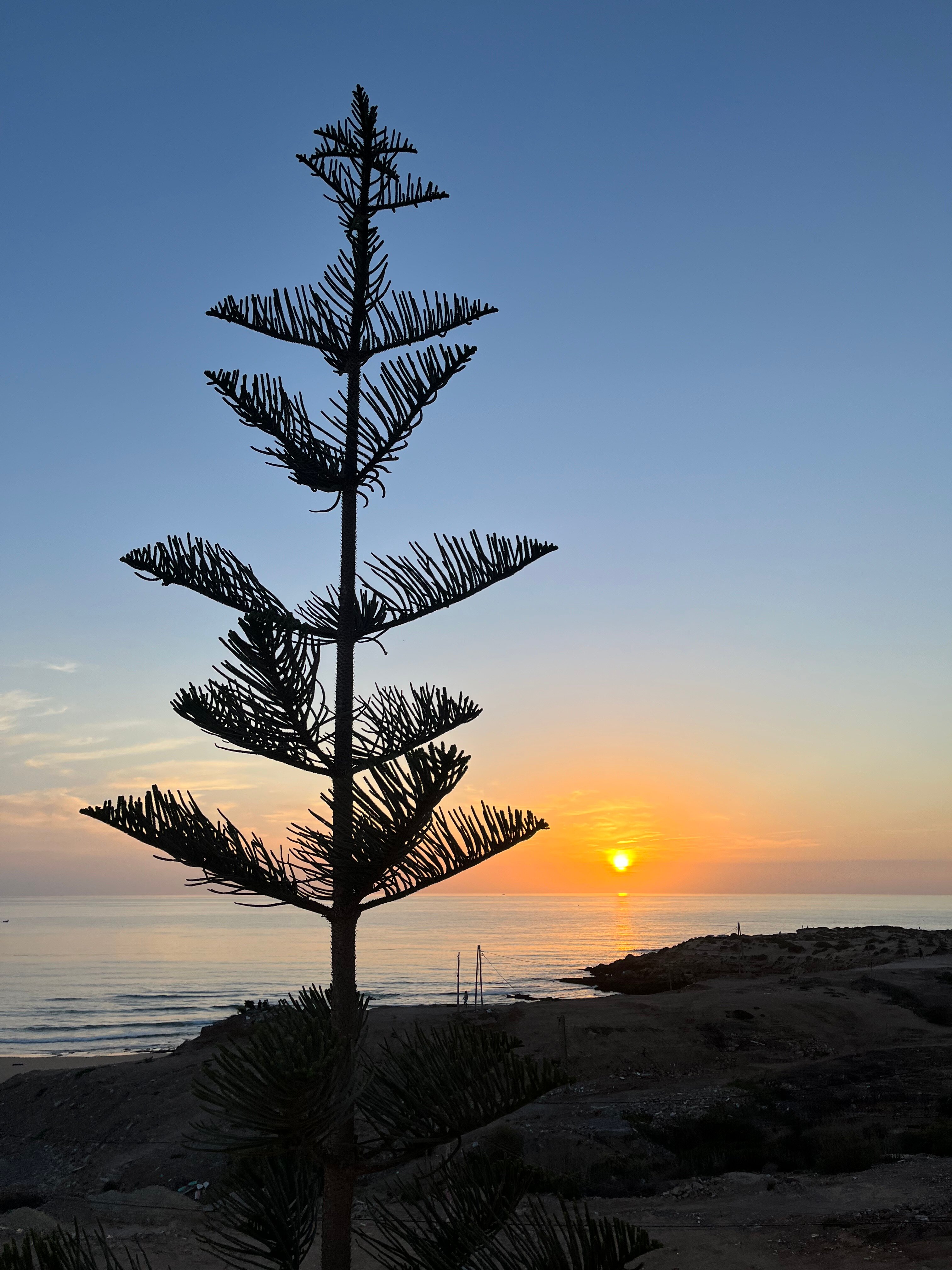 Travel Surf Morocco-酒店景观