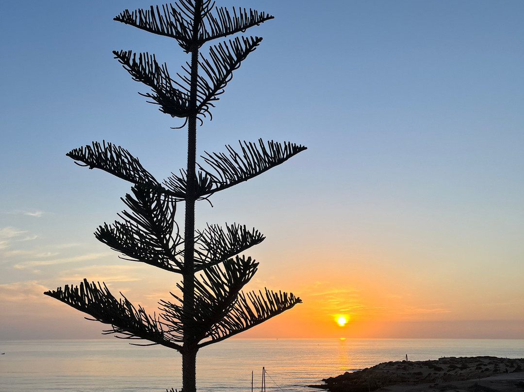 Travel Surf Morocco主图