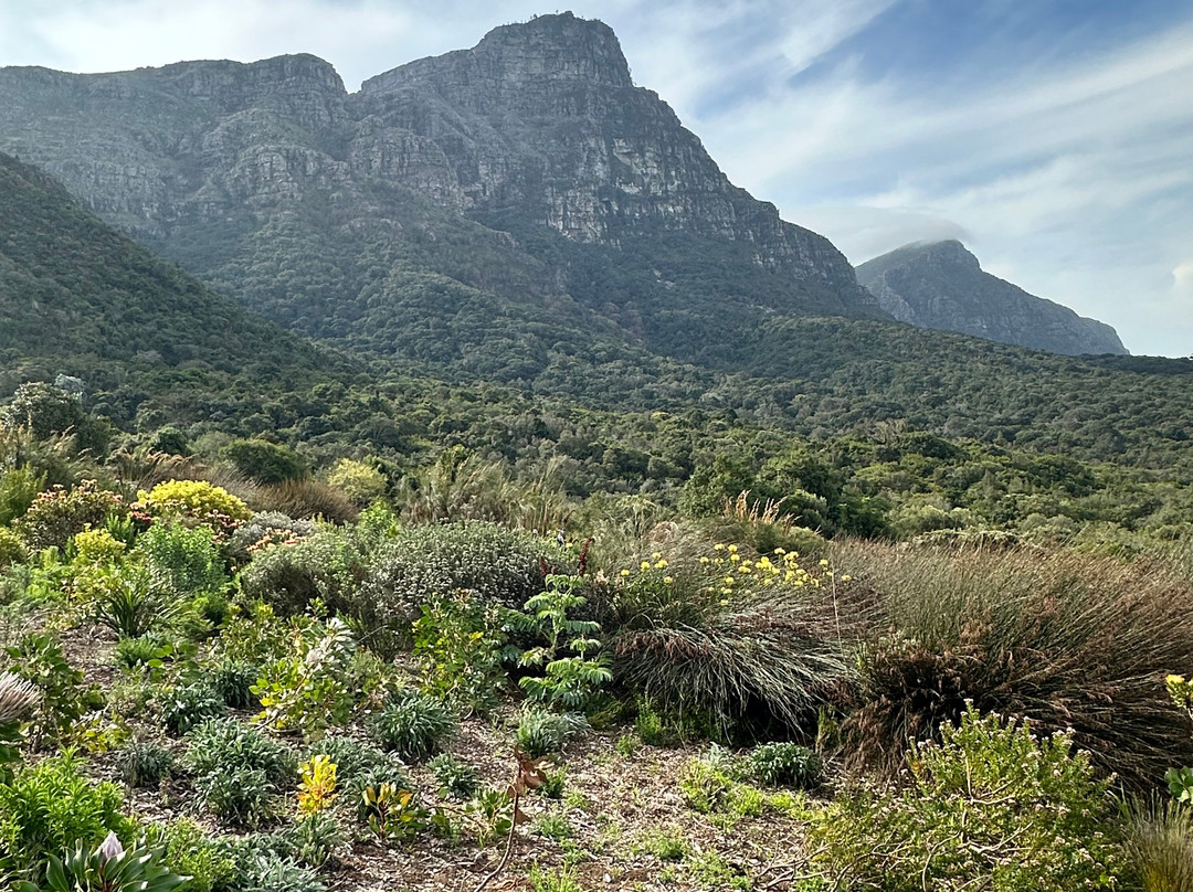 Island View Tours-开普敦中心区必去景点