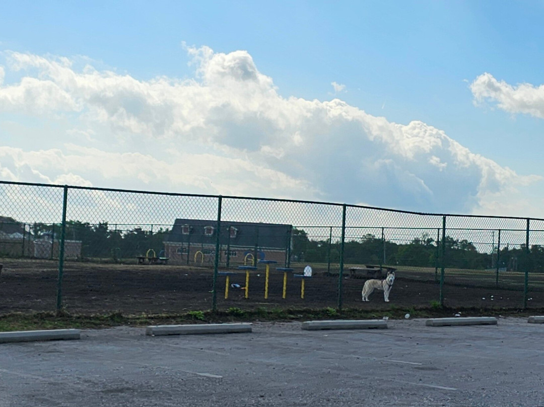 Abingdon Road Dog Park景点图片