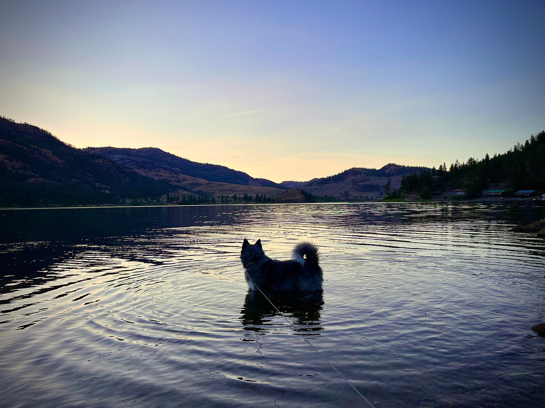 The Sun Cove Resort主图