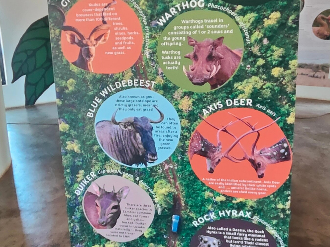 Lusaka National Park景点图片