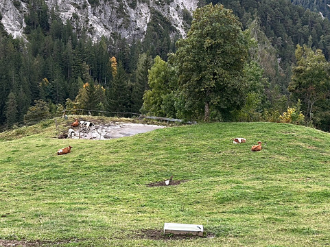 Bergbauernhof Irxner主图