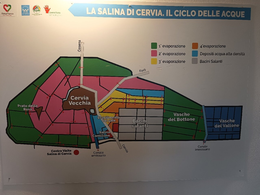 Salina di Cervia景点图片