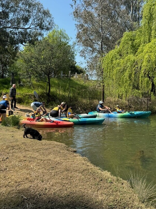 Murray River Canoe Hire景点图片