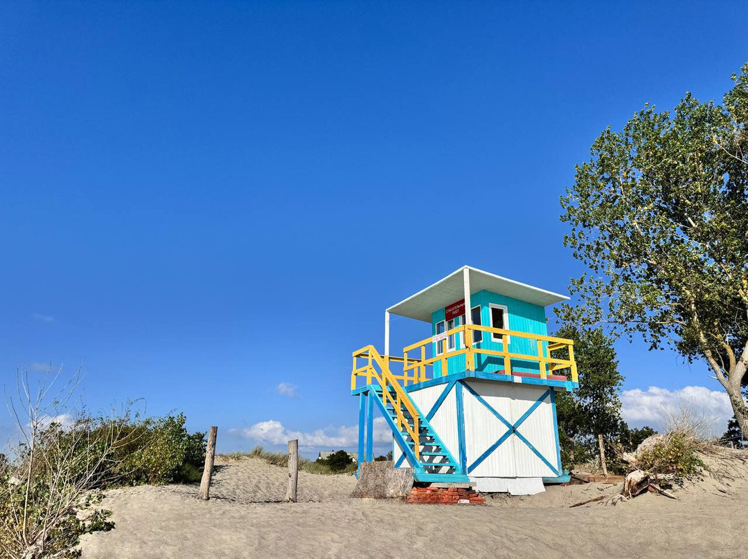 Zapadny Beach景点图片