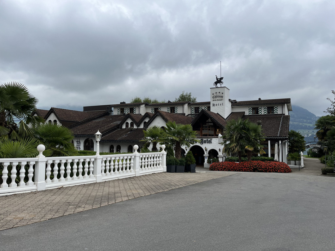 Swiss-Chalet Merlischachen主图