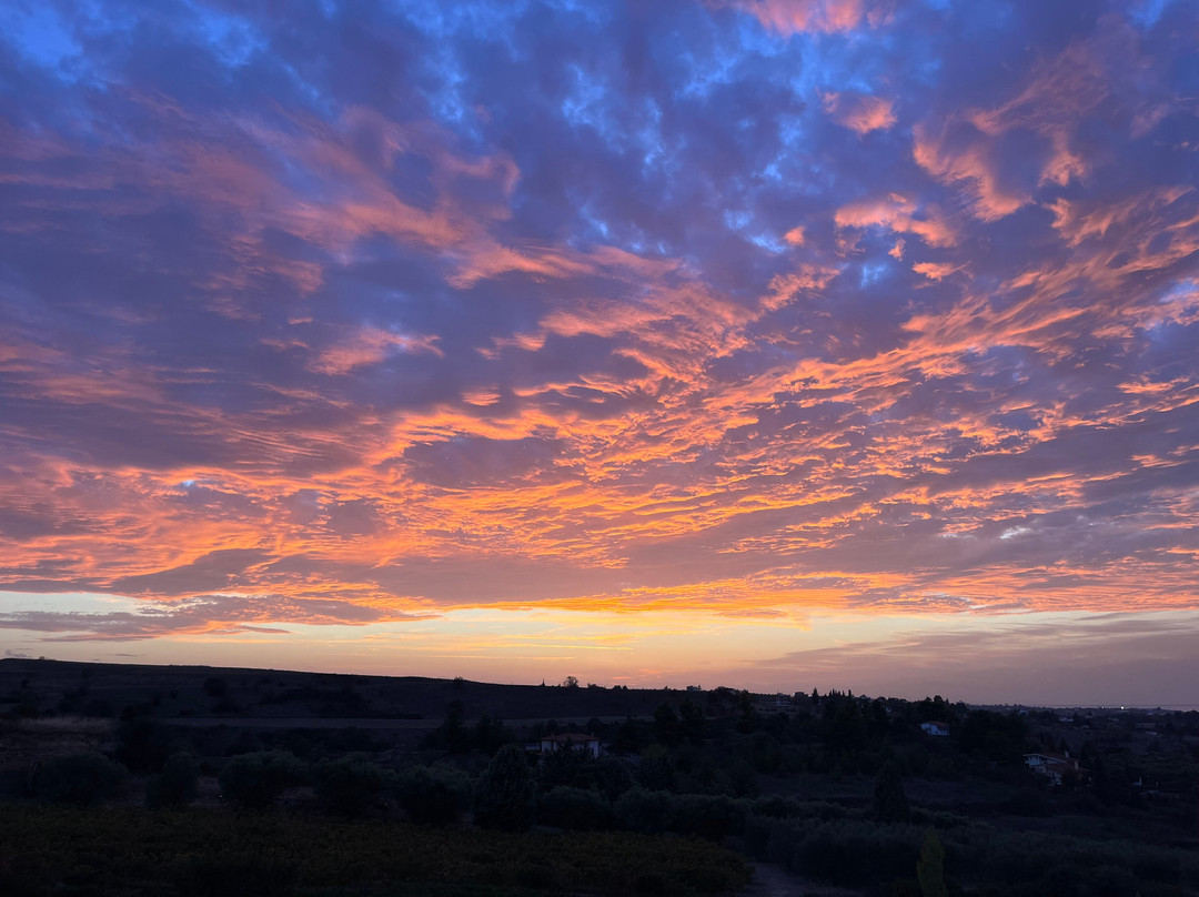 Domaine Florian景点图片