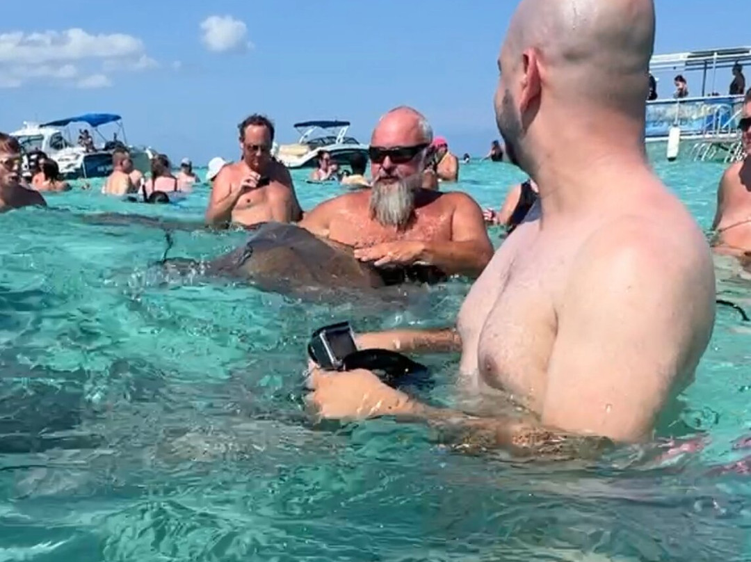 Stingray Sailing-大开曼岛必去景点