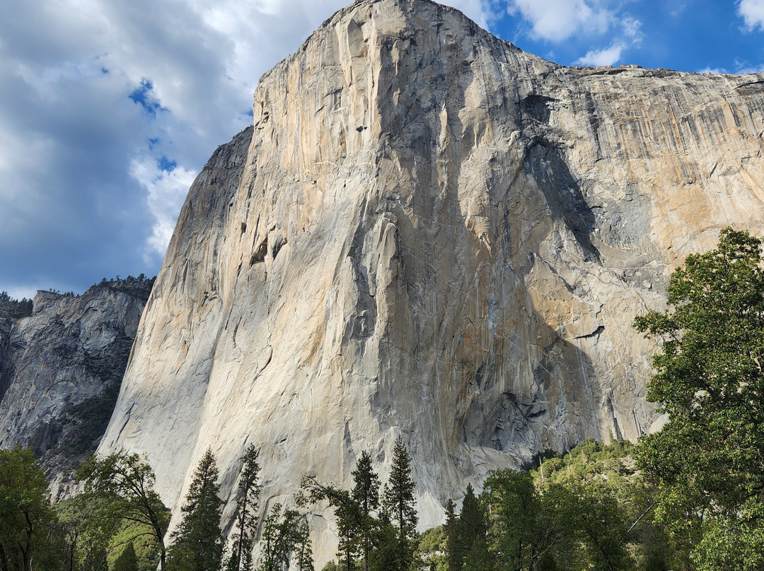 Yosemite Private Tours景点图片