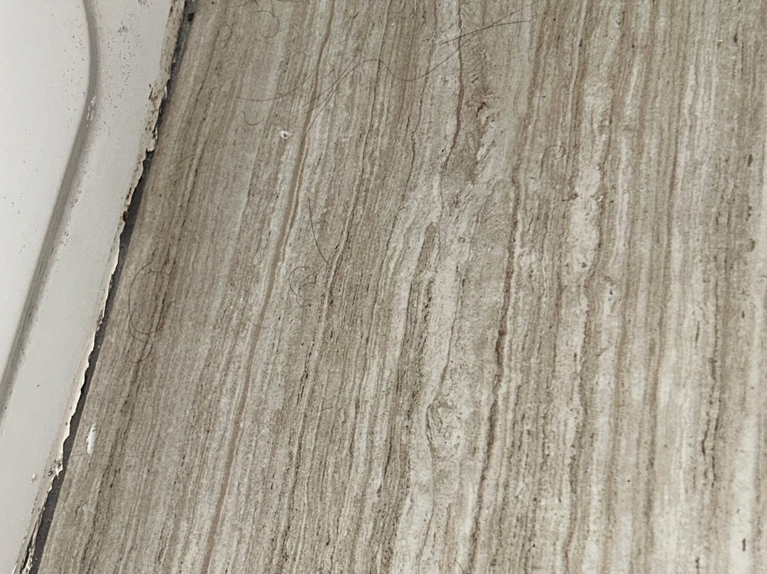 Comfort Inn & Suites High Point - Archdale主图