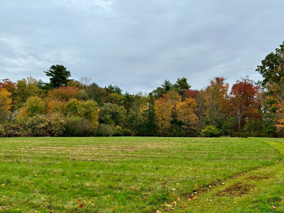 Farandnear Reservation-Shirley必去景点