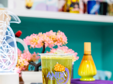 Anix Shop-塔林必去景点