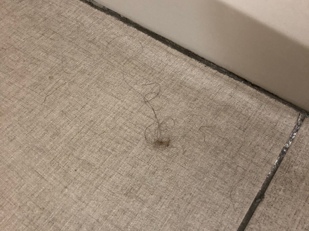 Comfort Suites主图