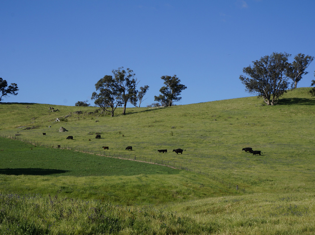 Hillview Farmstay主图