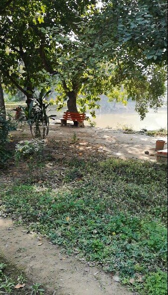 Butterfly Park-昌迪加必去景点