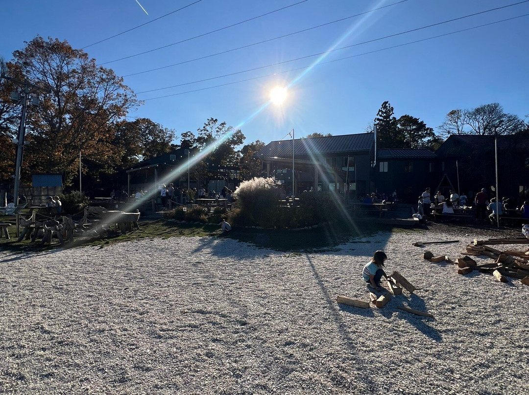 Island Creek Oyster Farm And Raw Bar景点图片