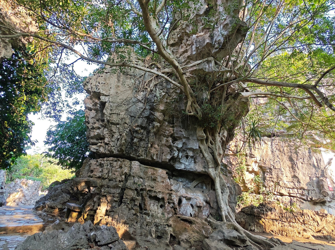 崇左石林景点图片