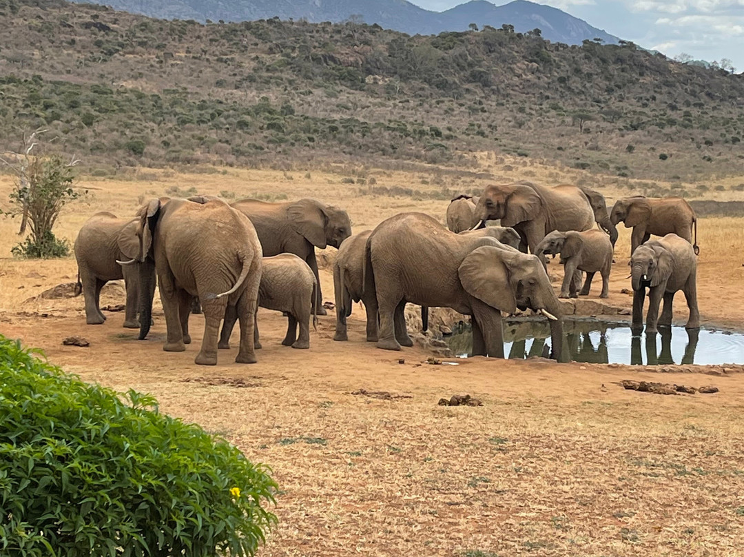 Bona Fide Ethiopia Tours-巴哈尔达尔必去景点