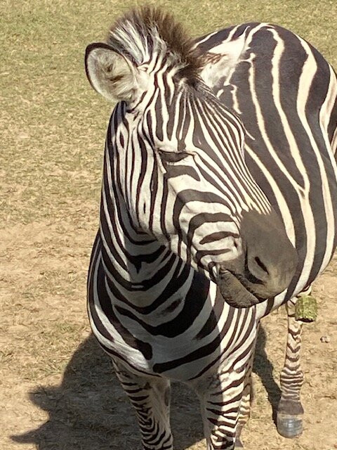 Pettit Creek Farms-Cartersville必去景点