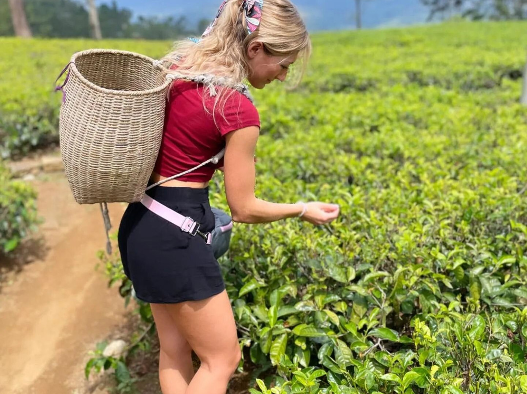 Explore Sri Lanka Tours-拉非尼亚山必去景点