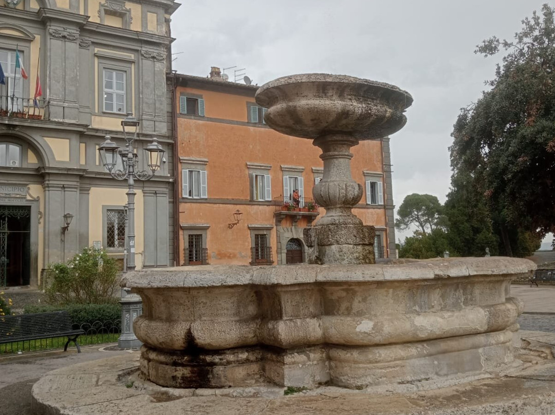 Fontana In Piazza Iv Novembre-布拉恰诺必去景点