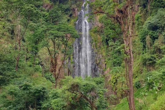 Naturalland Expeditions-阿鲁沙必去景点