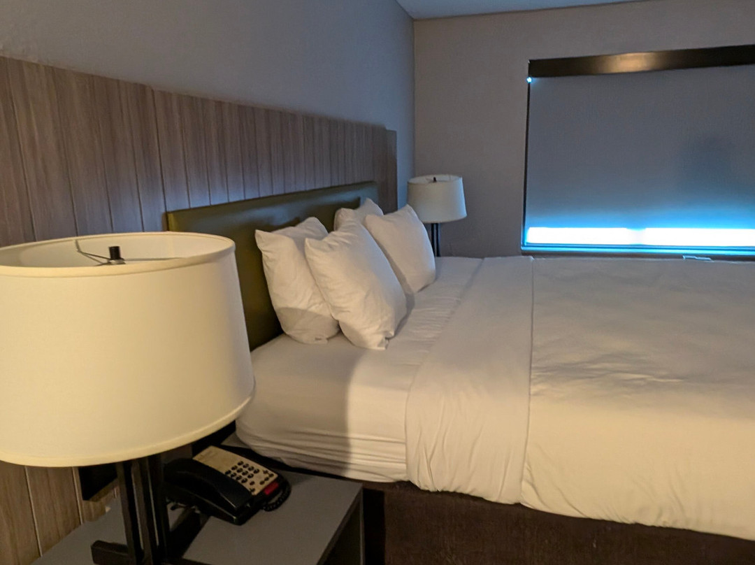 乔治敦江山旅馆&套房酒店主图