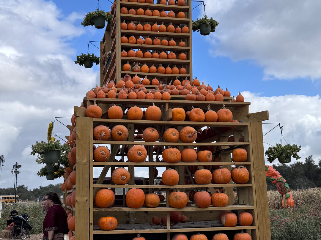 Sweet Eats Fruit Farm景点图片