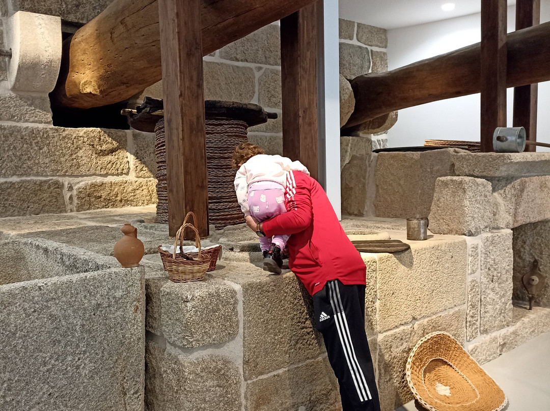 Museu do Azeite景点图片