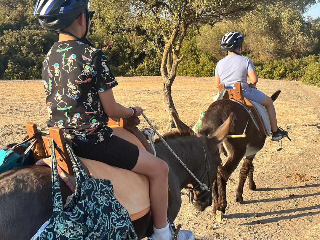 Donkey Cruise-Asklipiio必去景点