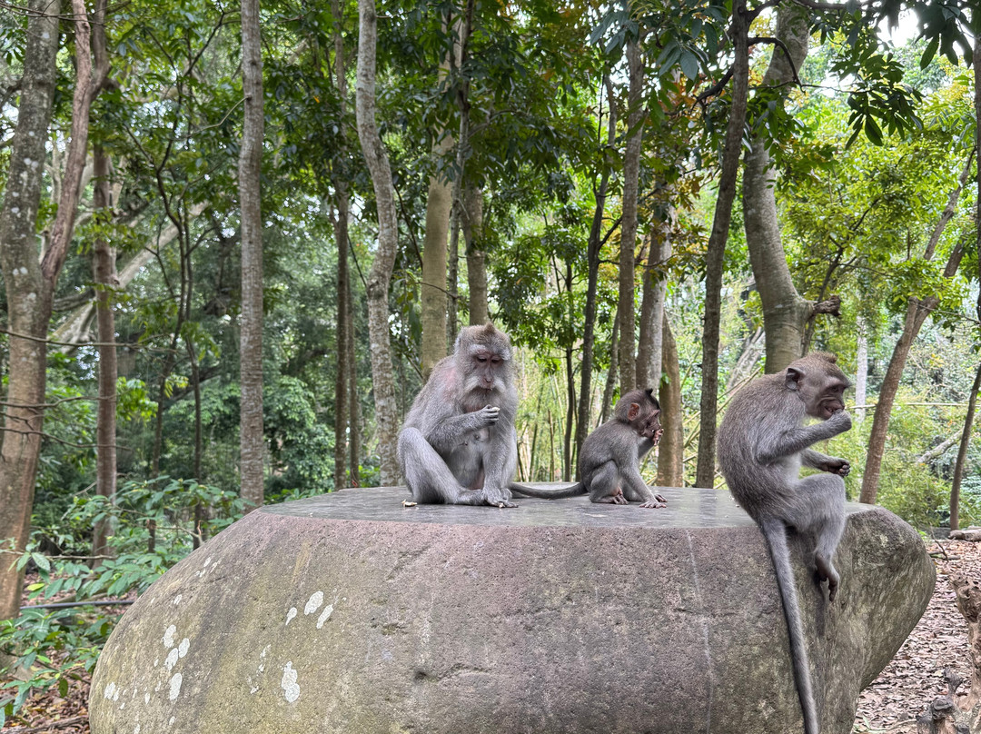 Samanjaya Trans Bali-Kuta Selatan必去景点