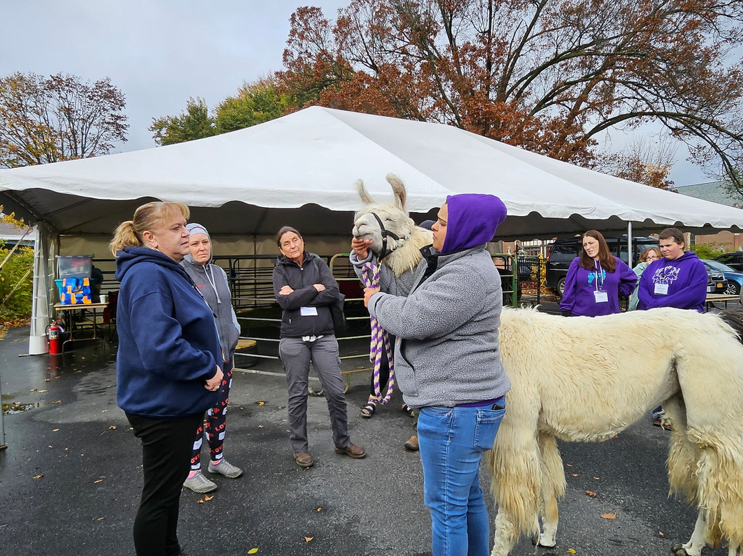 萨拉托加温泉假日酒店主图