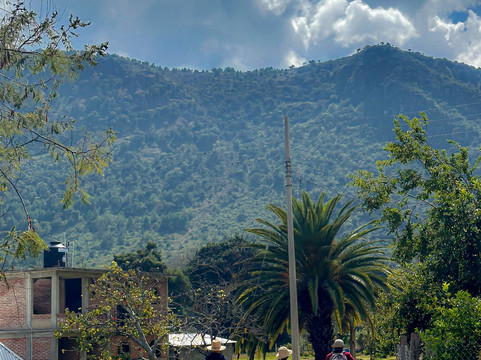 Go Well Tours-瓦哈卡必去景点