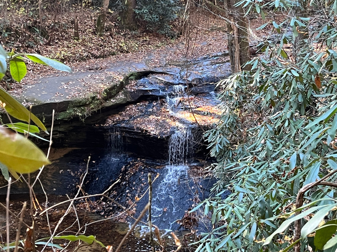 Rock Bridge Trail #207-Slade必去景点