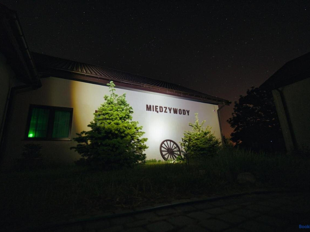Miedzywody