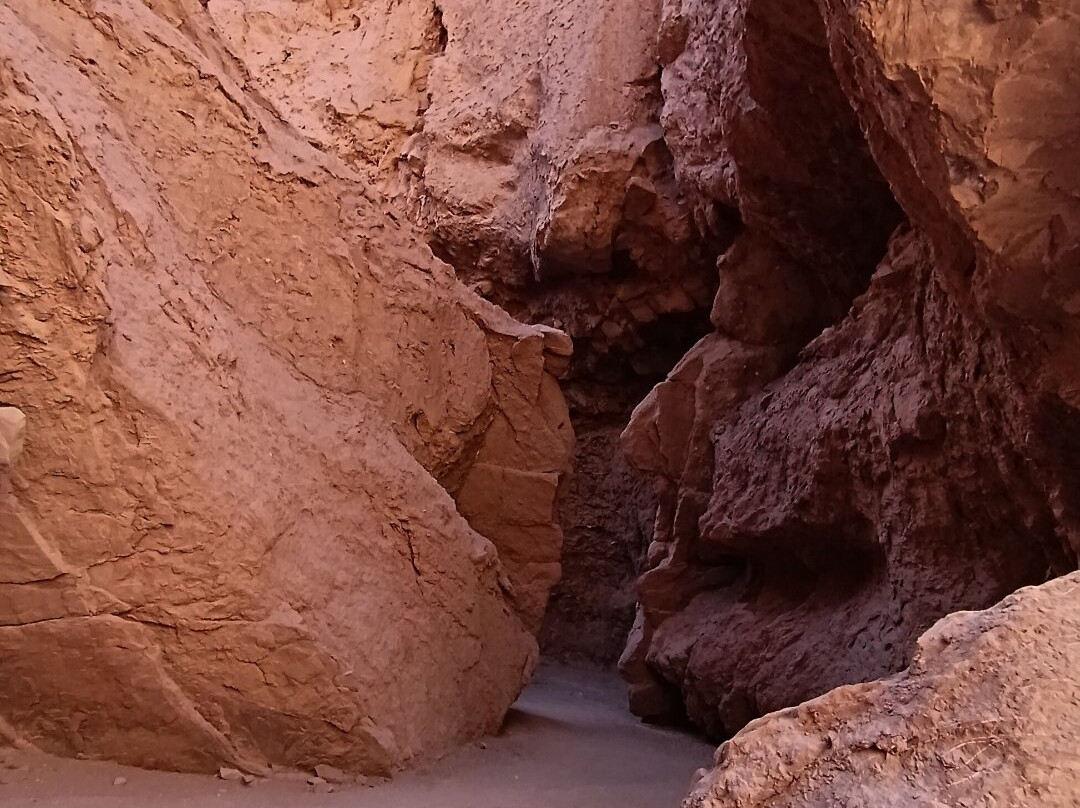 Lagunas Altiplanicas-圣佩德罗-德阿塔卡马必去景点