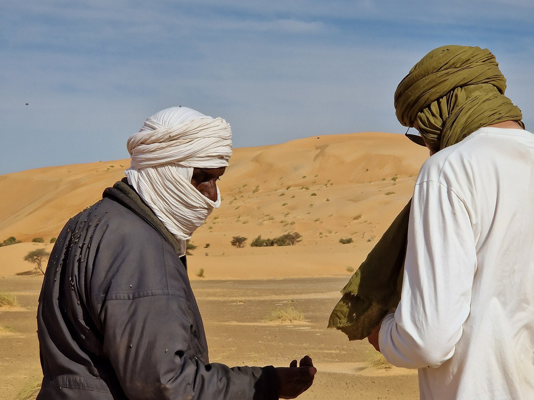 Memo Trotter-Chinguetti必去景点