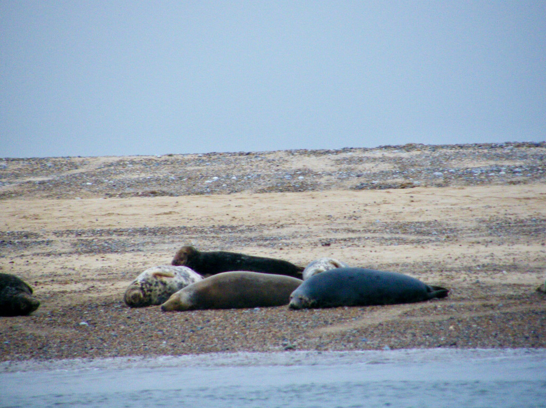 Temples Seal Trips & Blakeney Point-Morston必去景点
