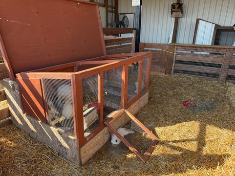 Bowles Farm Corn Maze-Clements必去景点