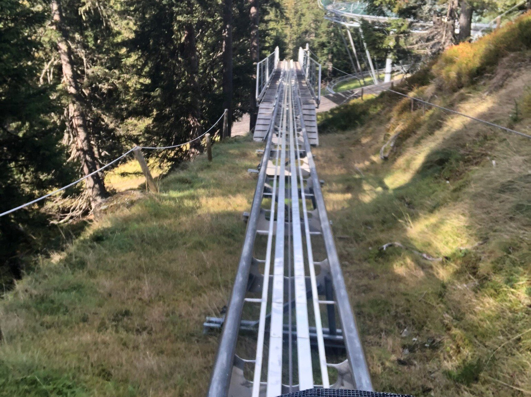 Lauserland am Wiedersbergerhorn-高山溪必去景点