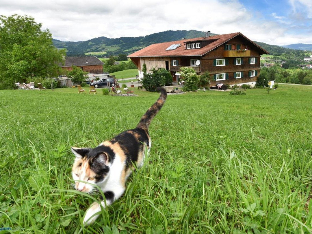 Bauernhof Familienbauernhof Koss主图