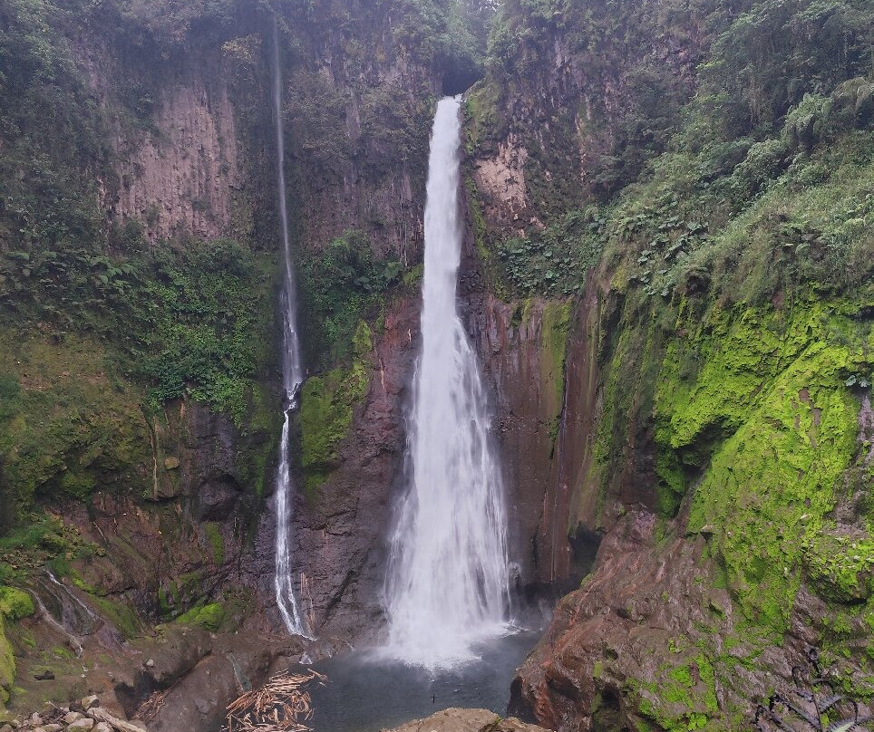 Catarata Del Toro景点图片